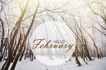 Month by Month Gardening Calendar - 02 February