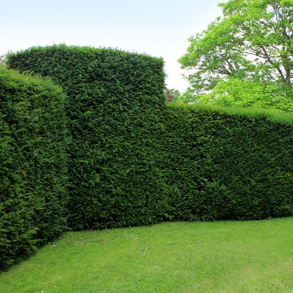 Hedging Season