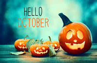 Month by Month Gardening Calendar - 10 October