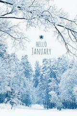 Month by Month Gardening Calendar - 01 January