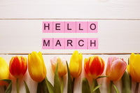 Month by Month Gardening Calendar - 03 March