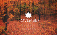 Month by Month Gardening Calendar - 11 November