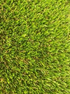 Artificial Grass - Carlotta