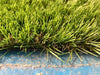 Artificial Grass - Hampsted