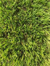 Artificial Grass - Hampsted