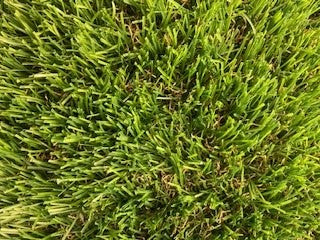 Artificial Grass - Stratford